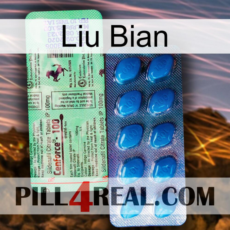 Liu Bian new02